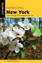 Brill: Foraging New York, Buch