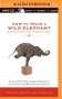 Jan Chozen Bays: How to Train a Wild Elephant & Other Adventures in Mindfulness: Simple Daily Mindfulness Practices for Living Life More Fully & Joyfully, MP3