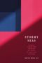 Text: "Stormy Seas: Taiwan Under the Shadow of China in the 21st Century, Thung-Hong Lin." Rotes und blaues abstraktes Design., Buch