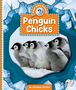 Catherine Ipcizade: Penguin Chicks, Buch