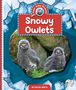 Kelley Barth: Snowy Owlets, Buch