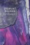 Brezezi&: Culture and Art: Selected Writings, Volume 1, Buch