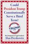 „Could President Trump Constitutionally Serve a Third Term?“ Text in Blau und Rot. „TRUMP 2028“ in einem runden Logo., Buch