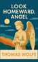 "Look Homeward, Angel" und "Thomas Wolfe"; Illustration eines Engels mit Blumen, Berge und Mond im Hintergrund., Buch