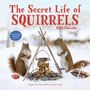 Nancy Rose: The Secret Life of Squirrels Wall Calendar 2025, Kalender