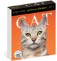 Cat Page-A-Day® Gallery Calendar 2025, Kalender