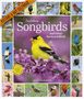 Audubon Songbirds and Other Backyard Birds Picture-A-Day® Wall Calendar 2025, Kalender