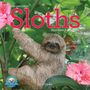 Lucy Cooke: Original Sloths Mini Wall Calendar 2026, KAL