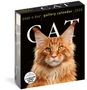 Cat Page-A-Day® Gallery Calendar 2026, KAL