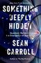 Sean Carroll: Something Deeply Hidden, Buch