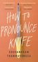 Souvankham Thammavongsa: How to Pronounce Knife, Buch