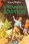 Enid Blyton: The Mountain of Adventure, Buch