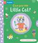 Campbell Books: Can you see Little Cat?, Buch
