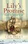 Lily Ebert: Lily's Promise, Buch