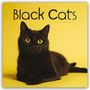 Carousel Calendar: Black Cats - Schwarze Katzen 2025 - Wand-Kalender, Kalender