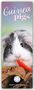 Carousel Calendar: Guniea Pigs - Meerschweinchen 2026 - Slimline-Kalender, Kalender, Kalender