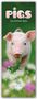 "PIGS CALENDAR 2026" oben, "Plastic-Free Packaging" unten. Ein Ferkel auf einer Wiese mit Blumen., Kalender