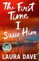 Laura Dave: The First Time I Saw Him, Buch