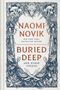Naomi Novik: Buried Deep and Other Stories, Buch