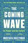 Mustafa Suleyman: The Coming Wave, Buch