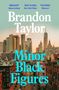 "Brandon Taylor, Minor Black Figures. 'BRILLIANT' Raven Leilani, 'SEXY AS HELL' New York Times, 'STUNNING' Observer." Im Hintergrund eine Stadtansicht., Buch