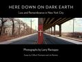 Here Down on Dark Earth, Buch