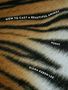 "HOW TO CAST A BEAUTIFUL ANIMAL", "POEMS", "DIANA KEREN LEE". Tigerfellmuster mit braunen, schwarzen und weißen Streifen., Buch