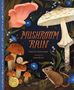 Laura K Zimmermann: Mushroom Rain, Buch