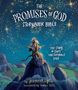 Jennifer Lyell: The Promises of God Storybook Bible, Buch