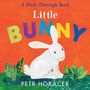 Petr Horacek: Little Bunny, Buch