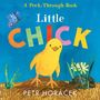 Petr Horacek: Little Chick, Buch