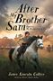 James Lincoln Collier: After My Brother Sam (Sequel to My Brother Sam Is Dead), Buch