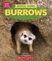 Claire Caprioli: Burrows (Learn About: Animal Homes), Buch