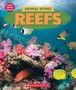 Jay Leslie: Reefs (Learn About: Animal Homes), Buch