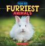 Brenna Maloney: Furriest Animals (Wild World: Top 10), Buch