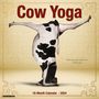 Willow Creek Press: Cow Yoga 2024 12 X 12 Wall Calendar, KAL