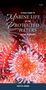 Rick M. Harbo: A Field Guide to Marine Life of the Protected Waters of the Salish Sea, Buch