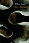Ellen Bass: Like a Beggar, Buch