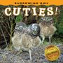 Farcountry Press: Burrowing Owl Cuties!, Buch