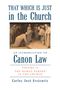 Carlos José Errázuriz: That Which Is Just in the Church, Buch