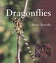 Steve Brooks: Dragonflies, Buch