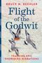 Bruce M Beehler: Flight of the Godwit, Buch