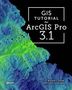 Wilpen L Gorr: GIS Tutorial for ArcGIS Pro 3.1, Buch