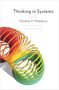Donella Meadows: Thinking in Systems: A Primer, Buch