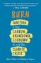 Albert Bates: Burn, Buch