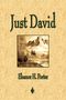 Eleanor H Porter: Just David, Buch