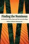 Dipasquale: Finding the Numinous, Buch