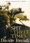 Davide Reviati: Spit Three Times, Buch