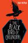 Ann McMan: Black Bird of Chernobyl, Buch