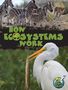 Julie Lundgren: How Ecosystems Work, Buch, Buch